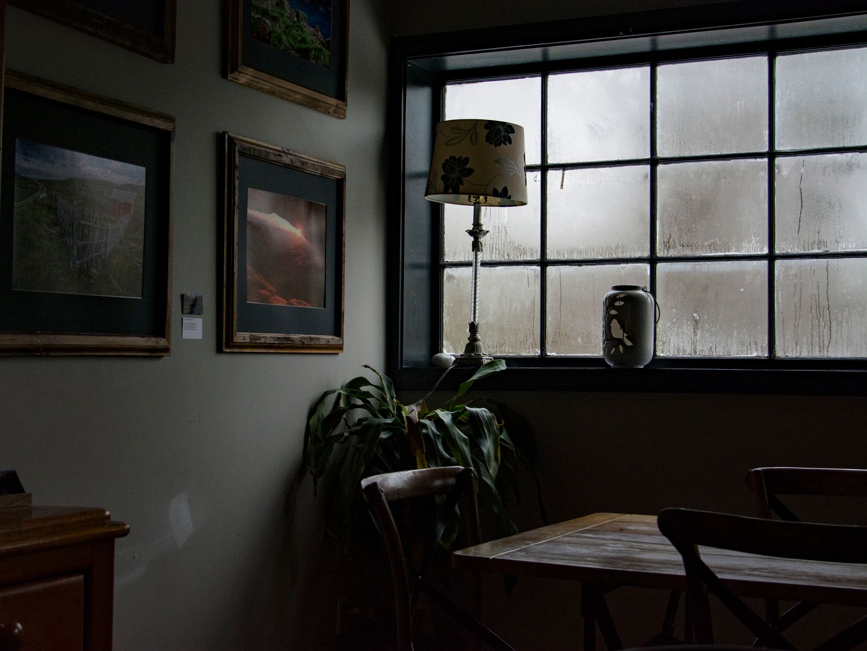 Moody interior design with a misty window, cozy seating, and plant decor.