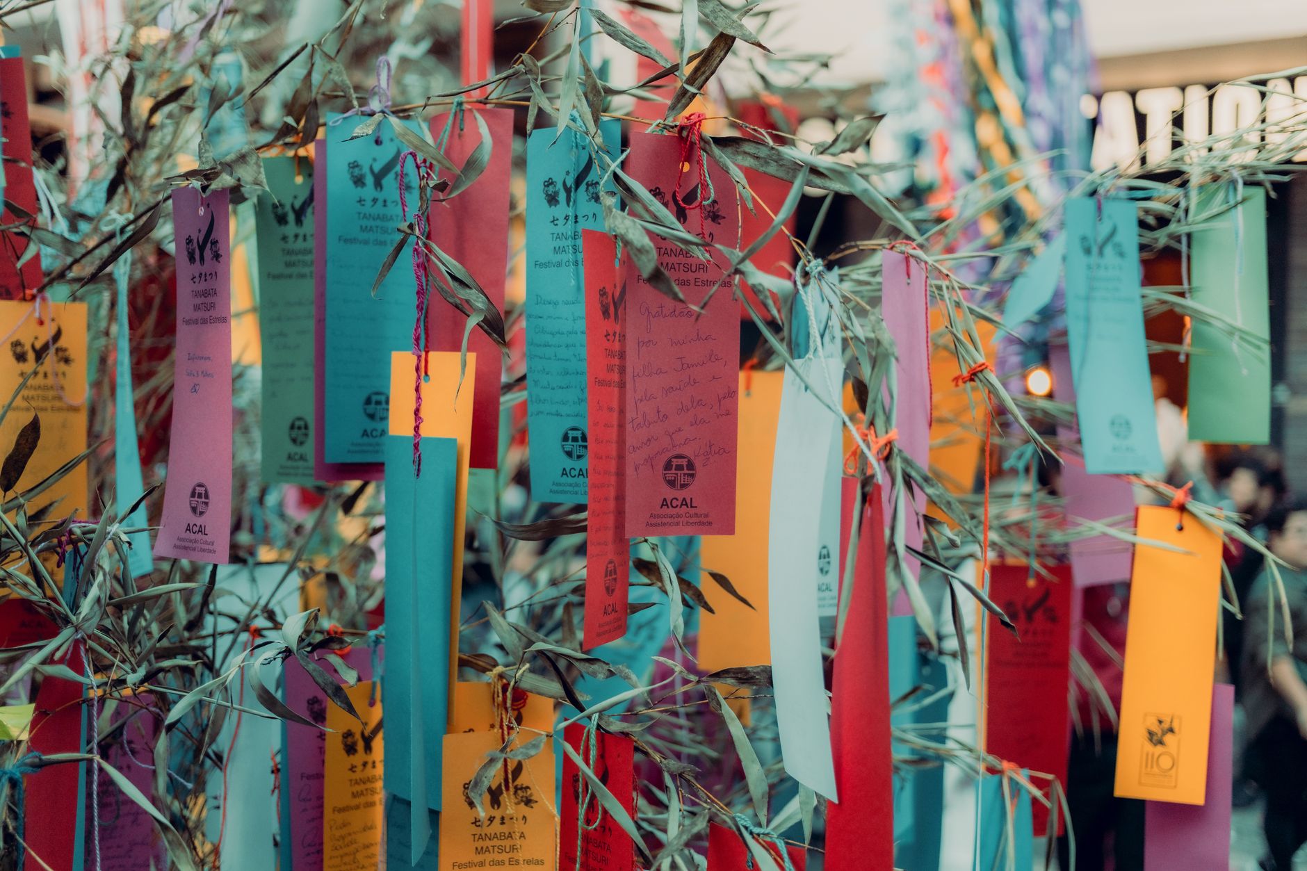 Vibrant wishing tags hanging on bamboo during Tanabata, symbolizing hopes and dreams.