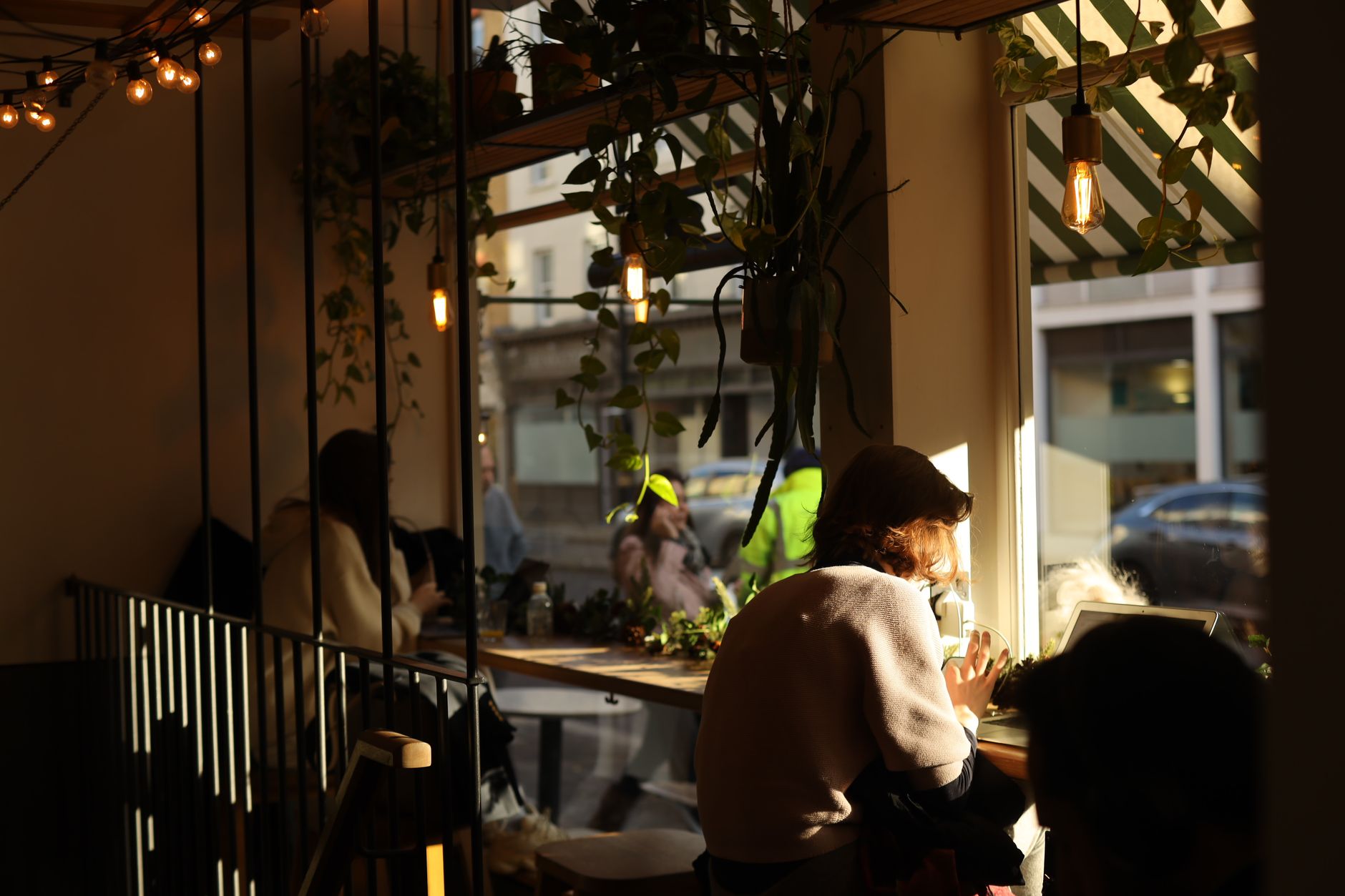 A cozy urban café interior featuring plants and sunlight